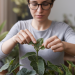 Maitriser l'art de la bouture à l'étouffée pour vos plantes