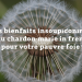 Des bienfaits insoupçonnés du chardon-marie pour votre pauvre foie