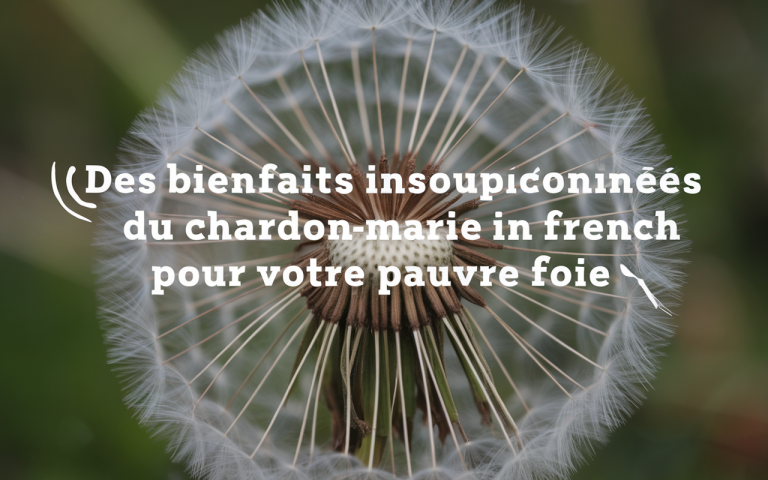 Des bienfaits insoupçonnés du chardon-marie pour votre pauvre foie