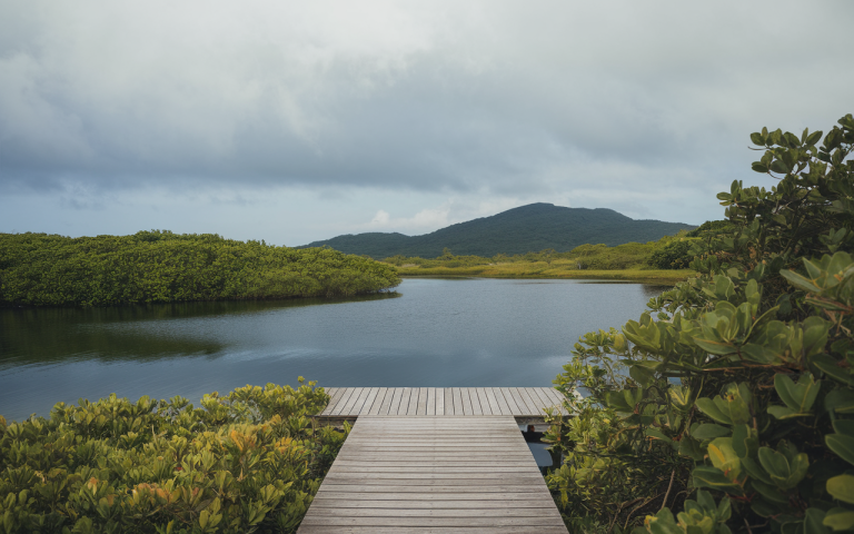 Aventures inoubliables : combiné enchanteur entre Maurice et Réunion