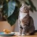 Réveiller l'appétit de votre chat avec des friandises maison